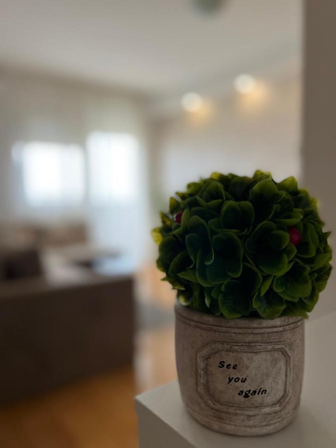 Delete 4 Apartment Beograd Ngoại thất bức ảnh